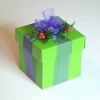 Alternative Gift Wrap | Guarantee Green Blog