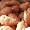 Sweet Potatoes | Guarantee Green Blog